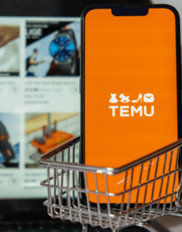 Temu sellers - Temu fulfillment